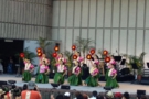hulatone フラトーン2013
